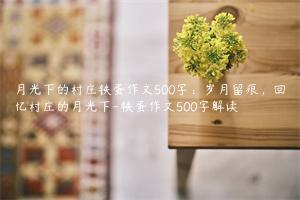 月光下的村庄铁蛋作文500字：岁月留痕，回忆村庄的月光下-铁蛋作文500字解读