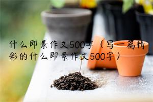 什么即景作文500字（写一篇精彩的什么即景作文500字）