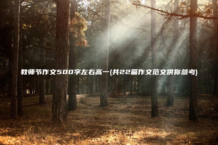 教师节作文500字左右高一(共22篇作文范文供你参考)